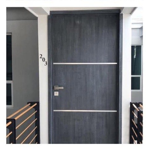 Acceso principal con puerta de aluminio color grafito, unidad 203